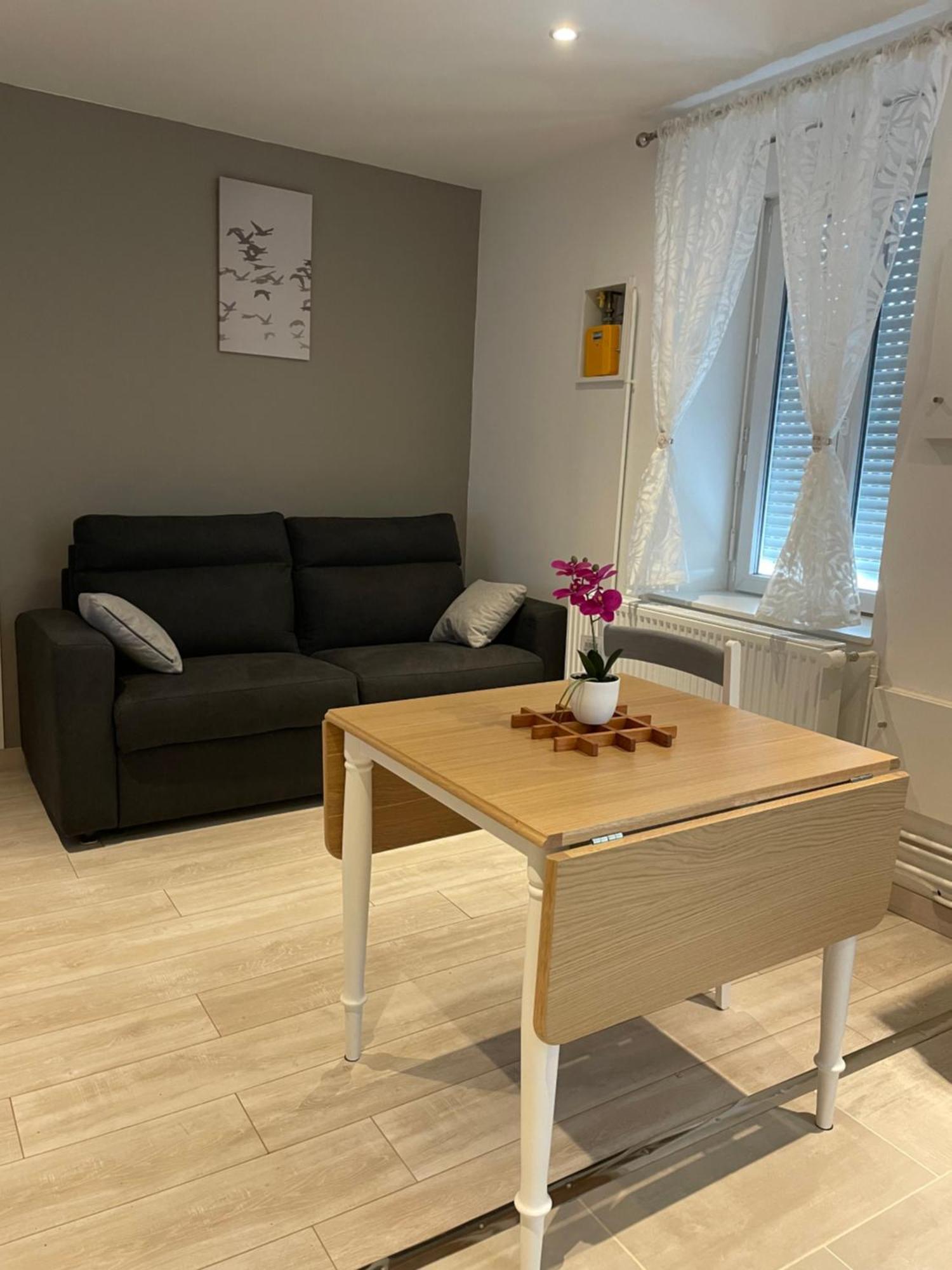 Appartement Cite Gastronomique Діжон Екстер'єр фото